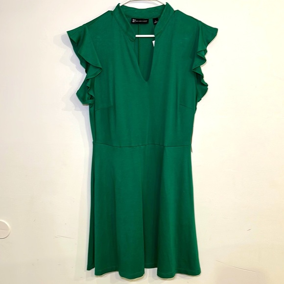 NWT New York & Co Ruffled Cotton Fit and Flare Dress V Neck Green Size Large - Picture 2 of 7